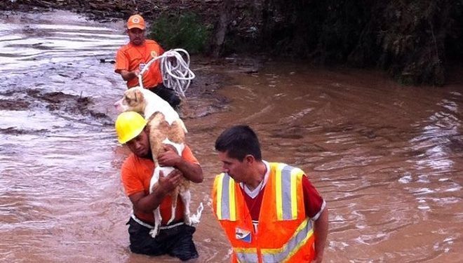 rescate 2