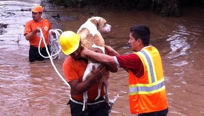 rescate 3
