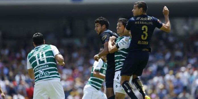 Pumas entusiasmados en el partido Pumas entusiasmados en el partido