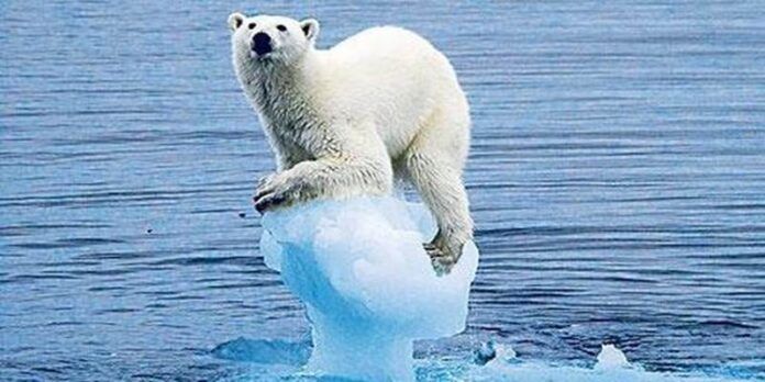Cambio climático