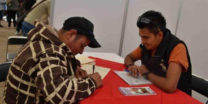 Llenan solicitudes de empleo Llenan solicitudes de empleo