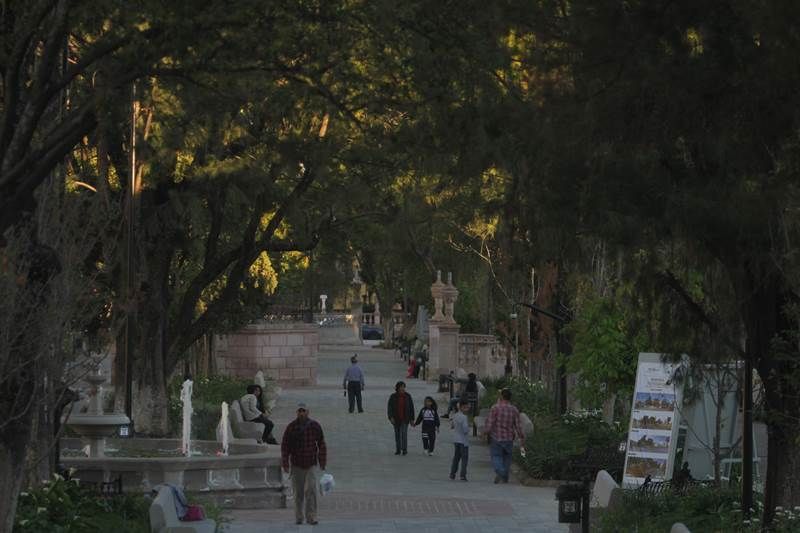 alameda-6.jpg