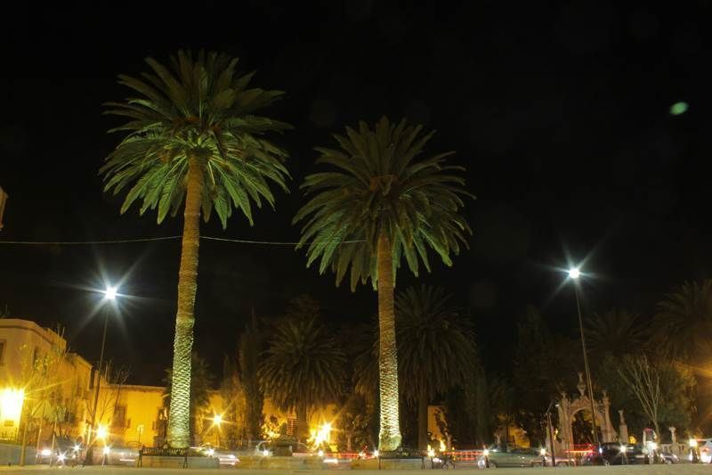 alameda-9.jpg