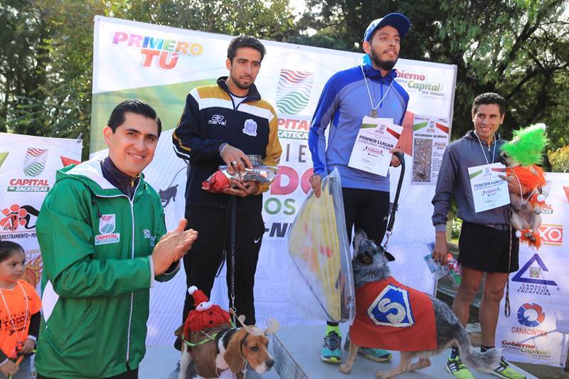 carrera-perros-2.jpeg