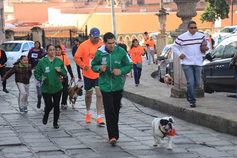 carrera-perros-3.jpeg