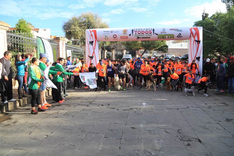 carrera-perros-4.jpeg