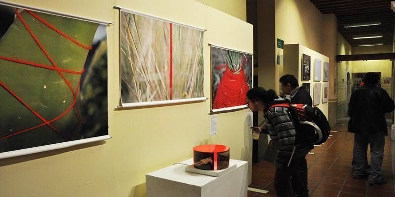 exposicion colectiva 3