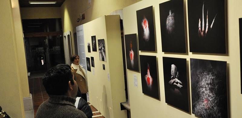 exposicion colectiva 4