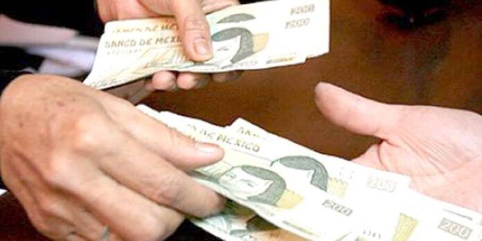Debe estar pagado a más tardar el 20 de diciembre. Debe estar pagado a más tardar el 20 de diciembre.