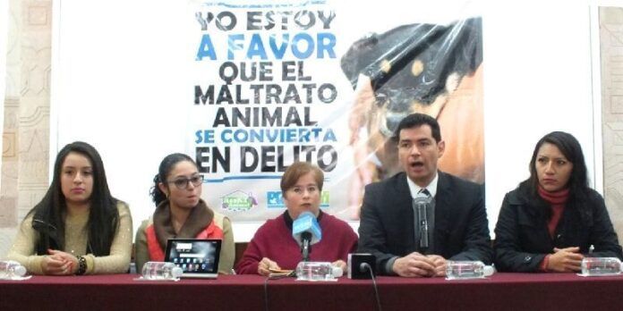 Representantes de Rescate Animal dieron conferencia de prensa Representantes de Rescate Animal dieron conferencia de prensa