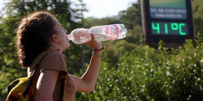 Prevenga un golpe de calor