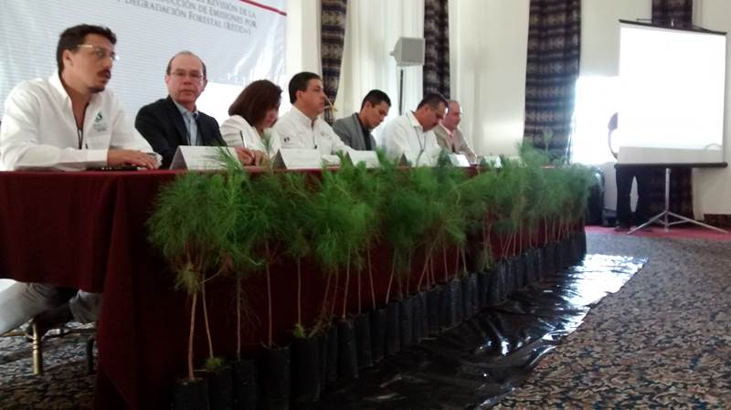 foro-enaredd-11.jpg