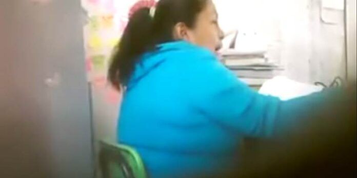 Maestra de primaria