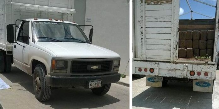 Vehículos asegurados Vehículos asegurados