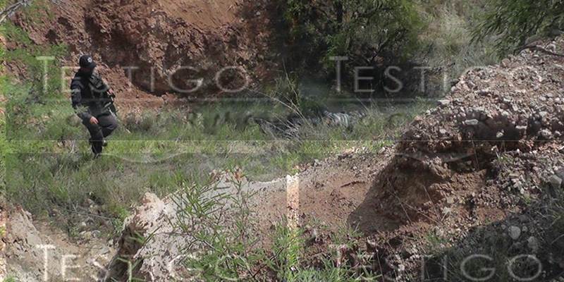 asesinatos fresnillo 2
