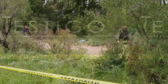 Policías con los cuerpos entre la vegetación. Policías con los cuerpos entre la vegetación.