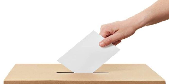 Vota Vota
