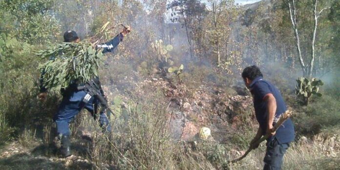 Sofocan el fuego con ramas