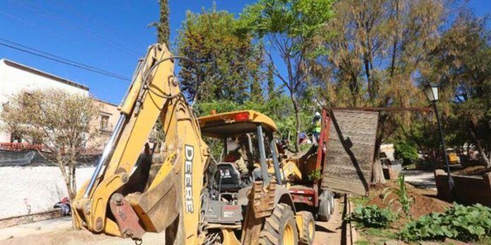 Colocación de nuevos árboles Colocación de nuevos árboles