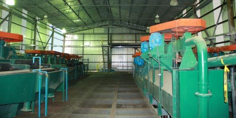 planta minerales 2