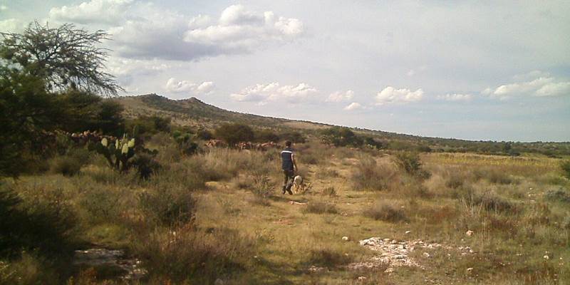 muertito trancoso 2