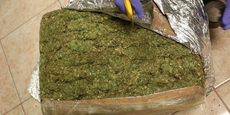 decomiso marihuana 2
