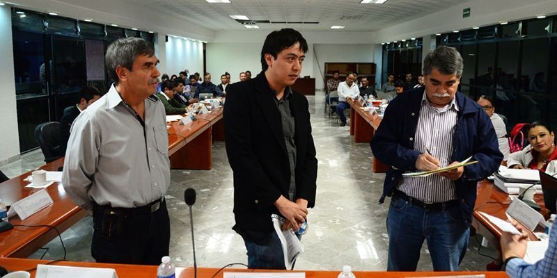 cronista guadalupe