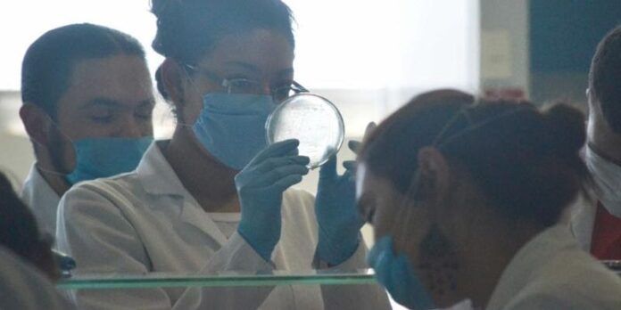 Habrá 561 estudiantes beneficiados.