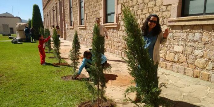 Plantan cipreses en el espacio cultural