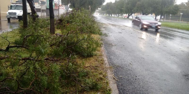 lluvias tormenta tropical 3