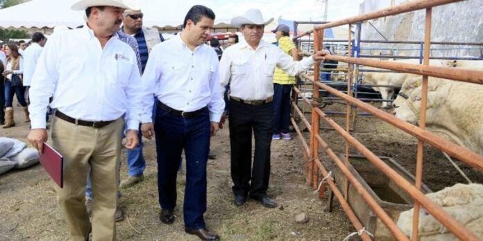 Miguel Alonso inauguró el Tianguis Ganadero. Miguel Alonso inauguró el Tianguis Ganadero.