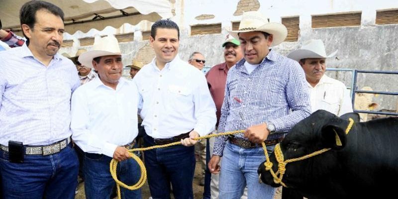 tianguis ganadero villanueva 2