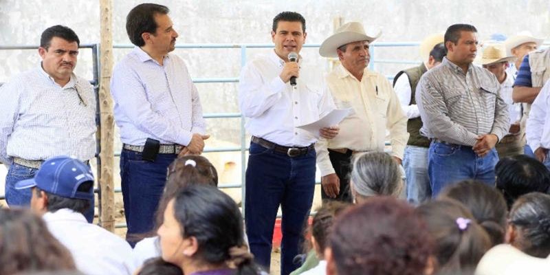 tianguis ganadero villanueva 3