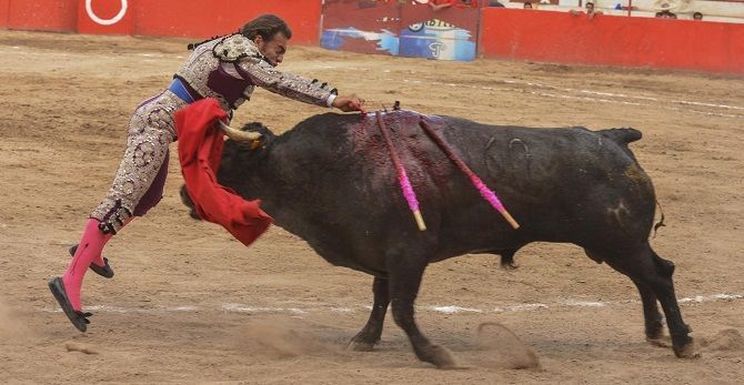 toros fresnillo 2