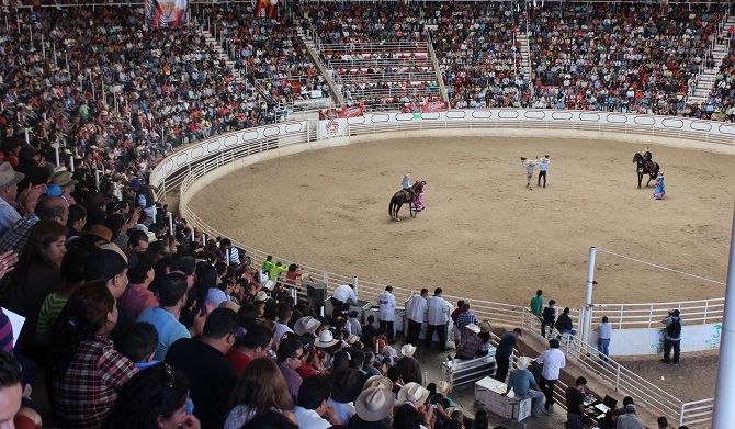 ecuestre 2