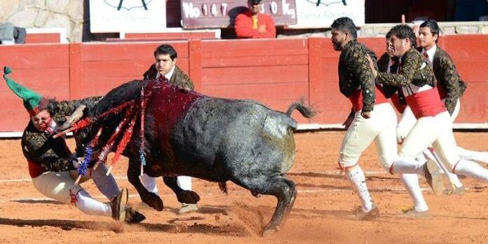 Hiram García herido en el muslo Hiram García herido en el muslo