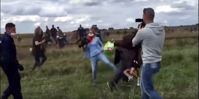 La periodista ya fue despedida. La periodista ya fue despedida.