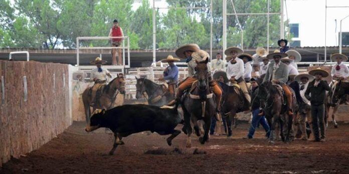 Última competencia Última competencia