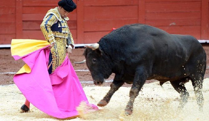 toros bolivar
