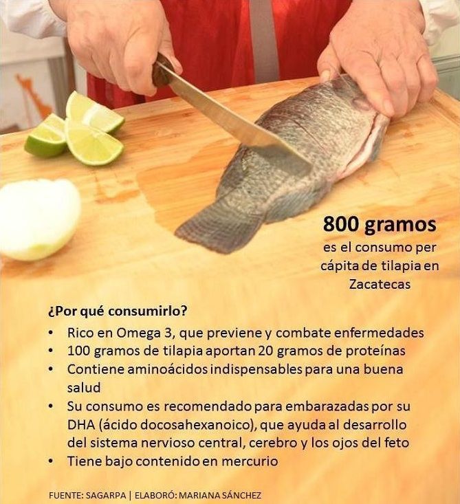 tilapia grafico