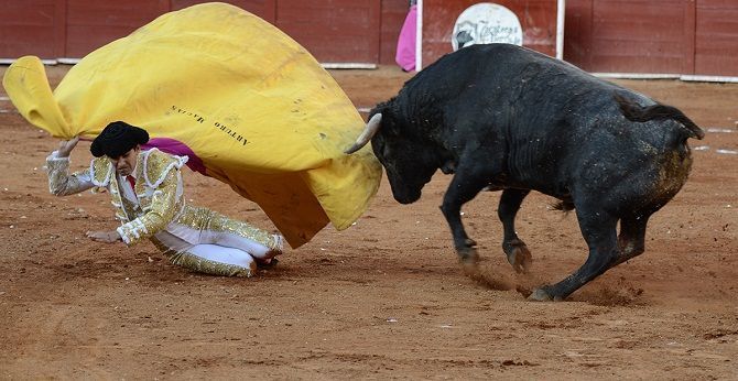 toros el cejas