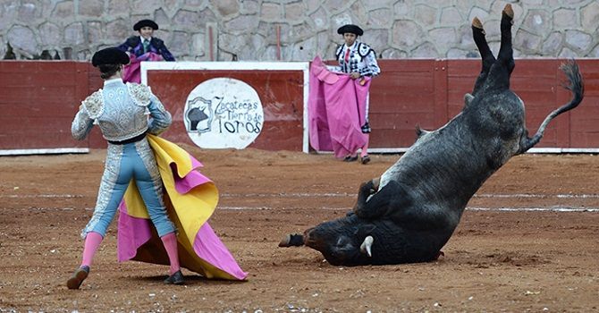 toros el payo