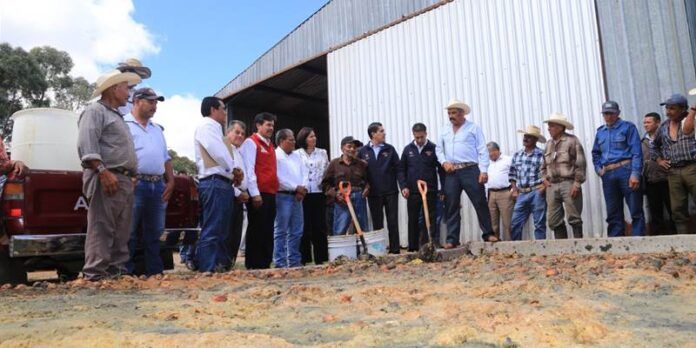 Alcalde entrega bagazo de fruta Alcalde entrega bagazo de fruta