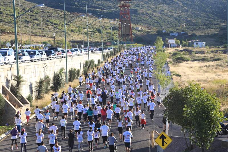 carrera2.jpeg