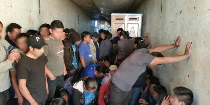 En la caja viajaban hacinados, sin agua o alimento