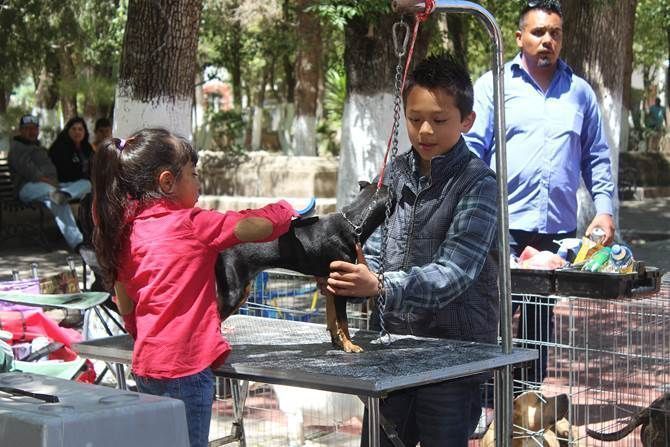 expo-canina-1.jpg