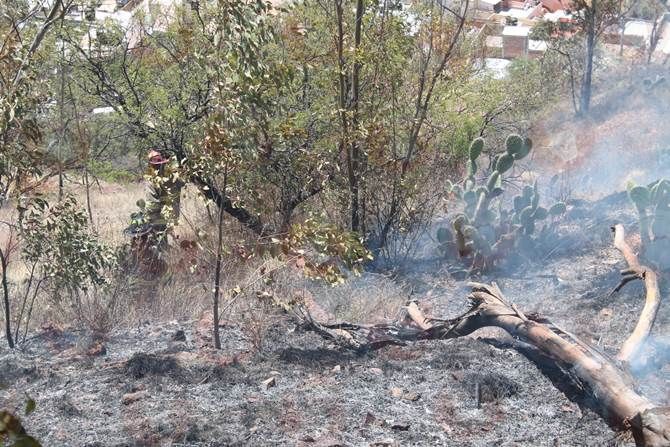 incendio.jpg