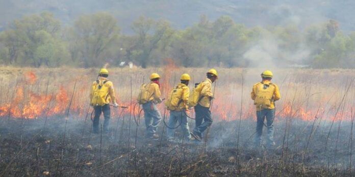 Se aproxima la etapa fuerte de incendios. Se aproxima la etapa fuerte de incendios.