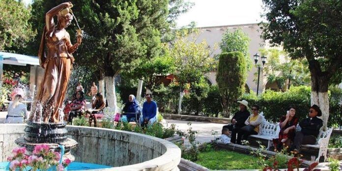 jardin-jerez-245