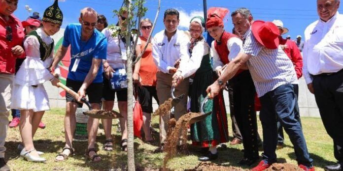 Reforestaron 2.5 hectáreas del parque Reforestaron 2.5 hectáreas del parque